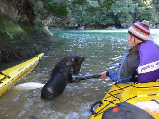 Tarn and a fur seal friend