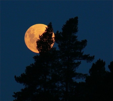 Full moon rising over Kanuka Ridge Backpackers